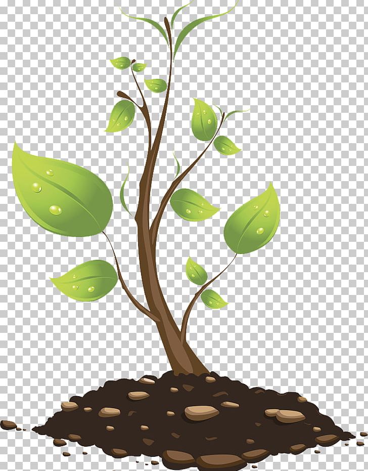 Tree Branch Euclidean Plant PNG, Clipart, Autumn Tree, Branch, Christmas Tree, Civil, Euclidean Vector Free PNG Download