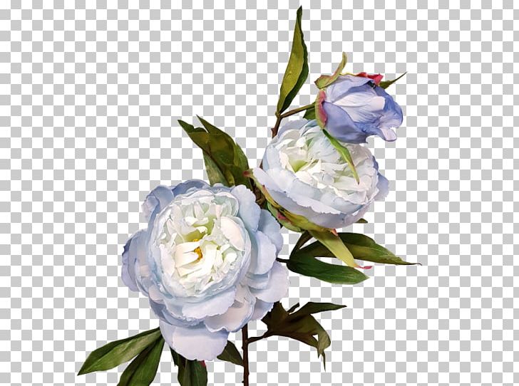Cabbage Rose Floral Design Cut Flowers Still Life Photography Peony PNG, Clipart, Branch, Cut Flowers, Flora, Floral Design, Floristry Free PNG Download
