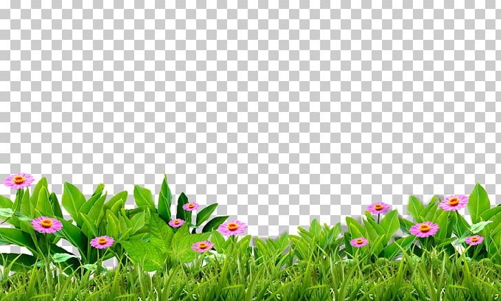 Green Grass PNG, Clipart, Computer Graphics, Computer Wallpaper, Download, Encapsulated Postscript, Field Free PNG Download