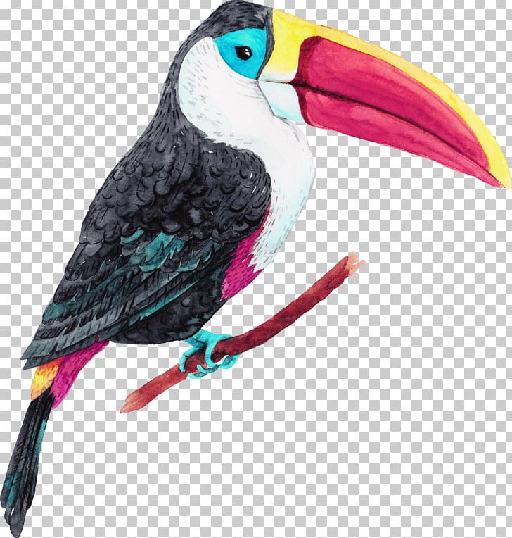 Jungle Island Bird Oiseaux Tropicaux Parrot PNG, Clipart, Adobe Illustrator, Animals, Beak, Bird, Bird Cage Free PNG Download