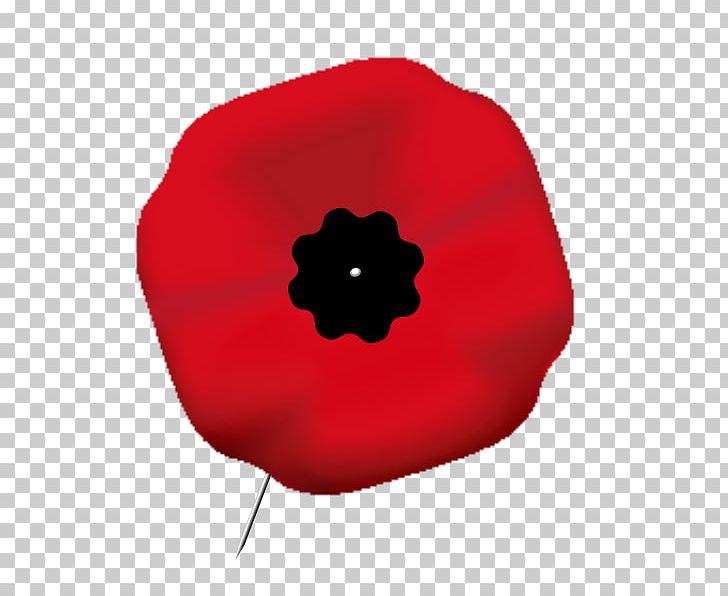 Remembrance Poppy Armistice Day In Flanders Fields Memorial Day PNG, Clipart, 11 November, Anzac Day, Armistice Day, Clock, Commonwealth Of Nations Free PNG Download