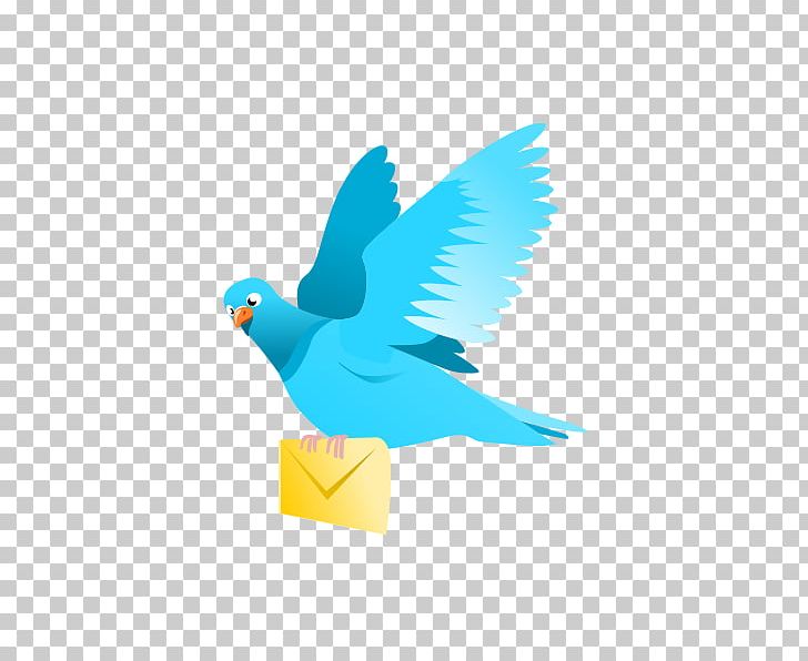 Domestic Pigeon Flight Bird Columbidae PNG, Clipart, Beak, Bird, Bird Flight, Columbidae, Computer Wallpaper Free PNG Download