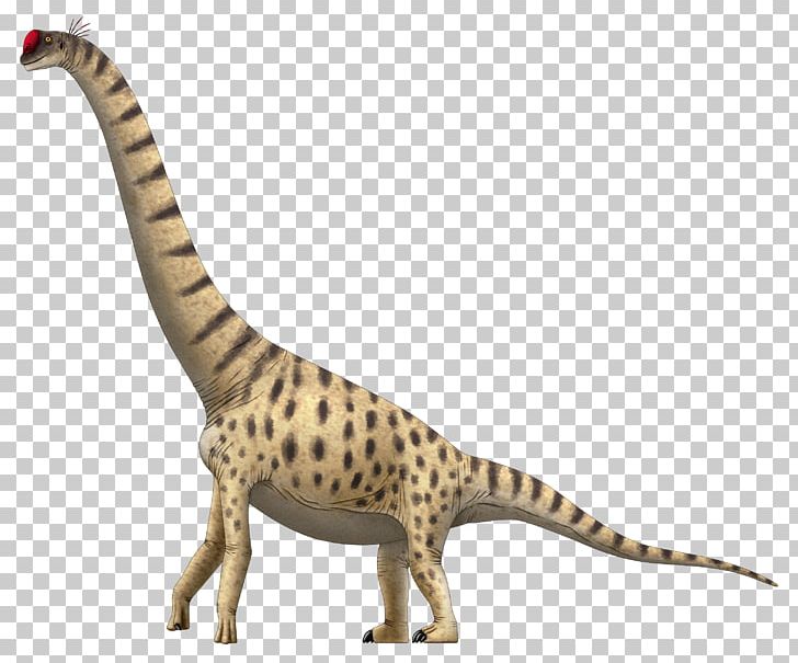 Lapparentosaurus Giraffatitan Chuxiongosaurus Brachiosaurus Apatosaurus PNG, Clipart, Animal, Animal Figure, Apatosaurus, Brachiosaurus, Carnivoran Free PNG Download