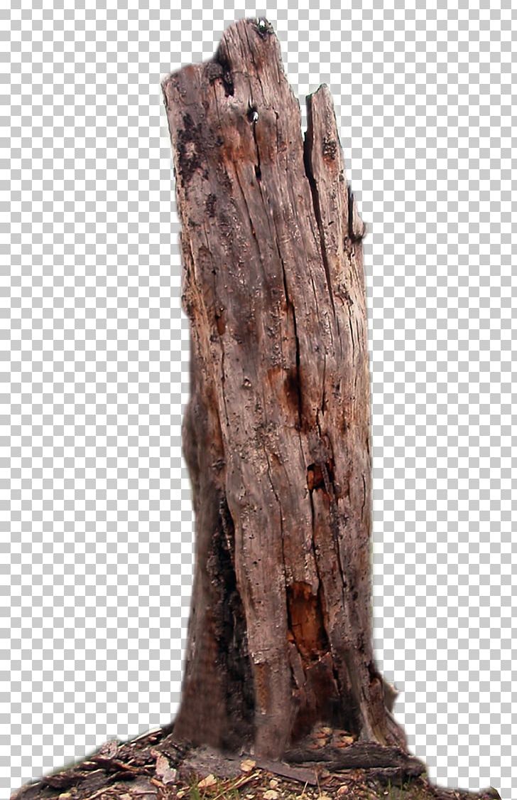 Tree Trunk Branch Wood PNG, Clipart, Branch, Dead, Desktop Wallpaper, Nature, Photography Free PNG Download