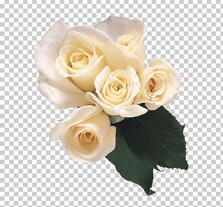 Flower Garden Roses Animaatio PNG, Clipart, Animaatio, Artificial Flower, Bud, Cut Flowers, Floral Design Free PNG Download