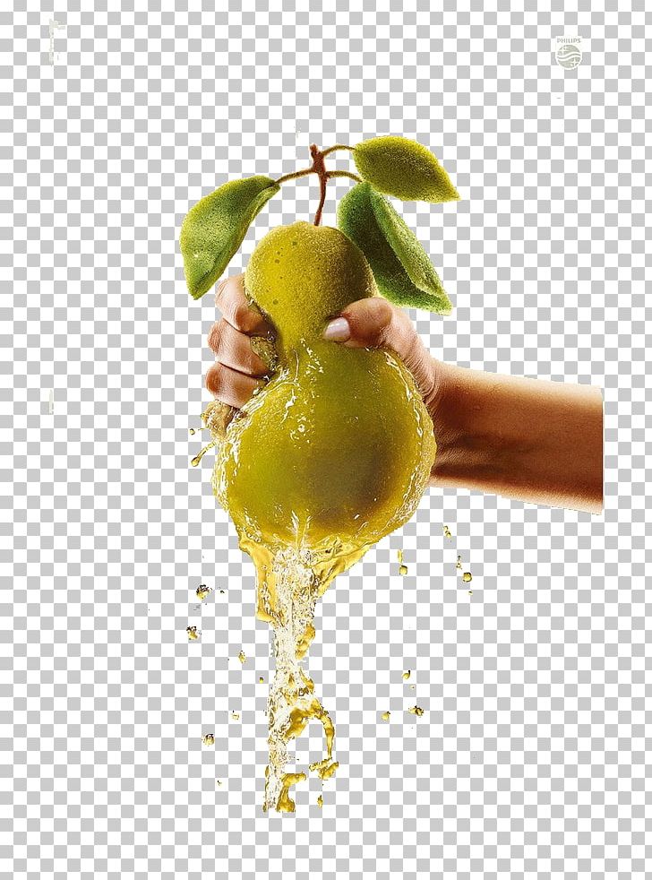 Juicer Advertising Fruit Blender PNG, Clipart, Advertising, Ble, Creative, Creative Pears, Food Free PNG Download