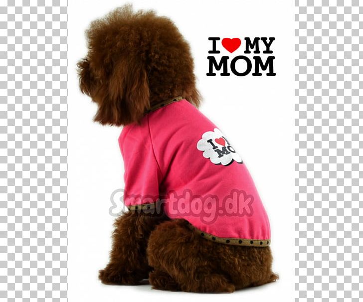 Standard Poodle Puppy Dog Breed Companion Dog PNG, Clipart, Animals, Breed, Carnivoran, Clothing, Companion Dog Free PNG Download
