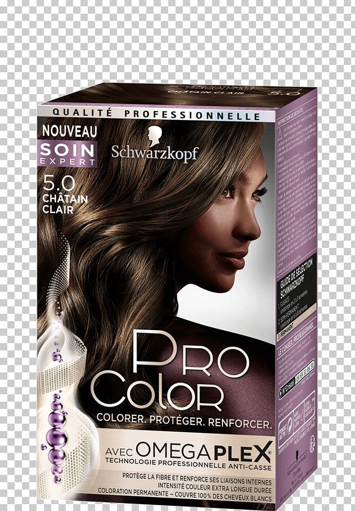 Hair Coloring Human Hair Color Blond Garnier PNG, Clipart, Beauty, Black Hair, Blond, Brown, Brown Hair Free PNG Download