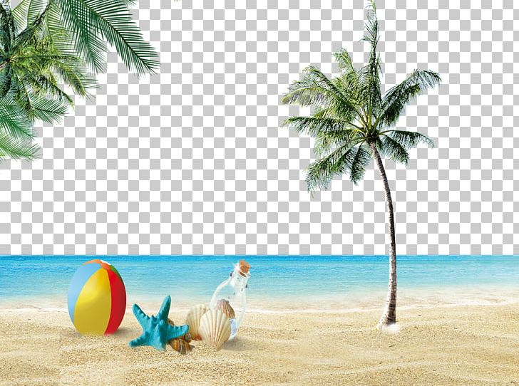 Beach Icon PNG, Clipart, Arecaceae, Arecales, Beach, Caribbean, Coconut Tree Free PNG Download