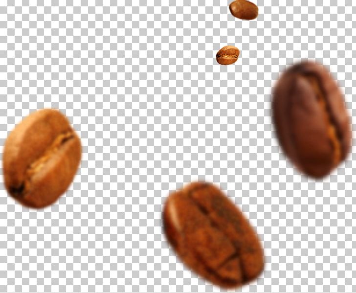 Jamaican Blue Mountain Coffee Coffee Bean Coffee Cup Sleeve Chocolate-coated Peanut PNG, Clipart, Bean, Cezve, Chocolate Coated Peanut, Chocolatecoated Peanut, Cocoa Bean Free PNG Download