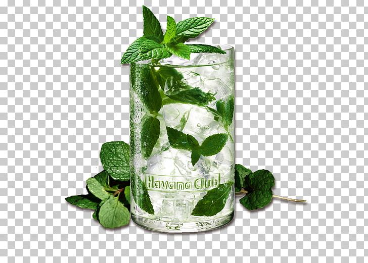 Mojito Rum And Coke Cocktail Daiquiri PNG, Clipart, Carbonated Water, Cocktail, Cuba, Cuban Cuisine, Daiquiri Free PNG Download
