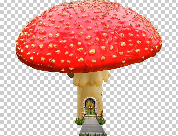 Mushroom Uluru Agaricus Laughter Lighting PNG, Clipart, Agaric, Agaricus, Cherry, Laughter, Lighting Free PNG Download