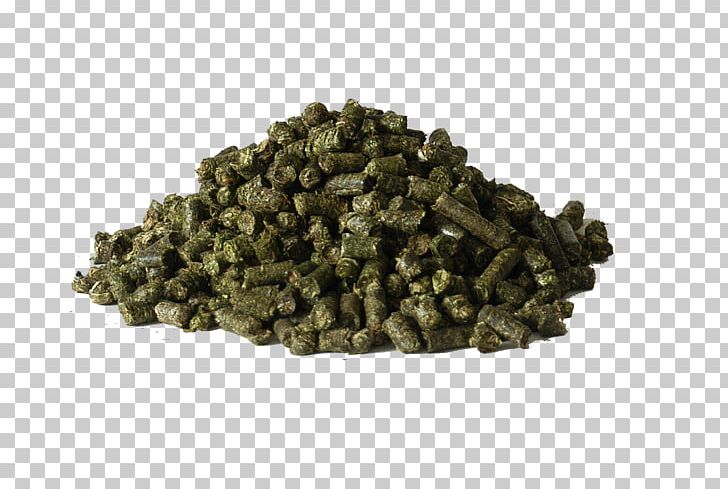 Puttabong (Tukvar) Tea Estate Darjeeling Tea Oolong PNG, Clipart,  Free PNG Download