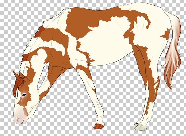 Foal Mane Stallion Mare Colt PNG, Clipart, Animal Figure, Bridle, Cattle, Colt, Dsd Free PNG Download