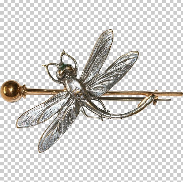 Insect Jewellery Brooch Clothing Accessories Invertebrate PNG, Clipart, Arthropod, Body Jewellery, Body Jewelry, Brooch, Clothing Accessories Free PNG Download
