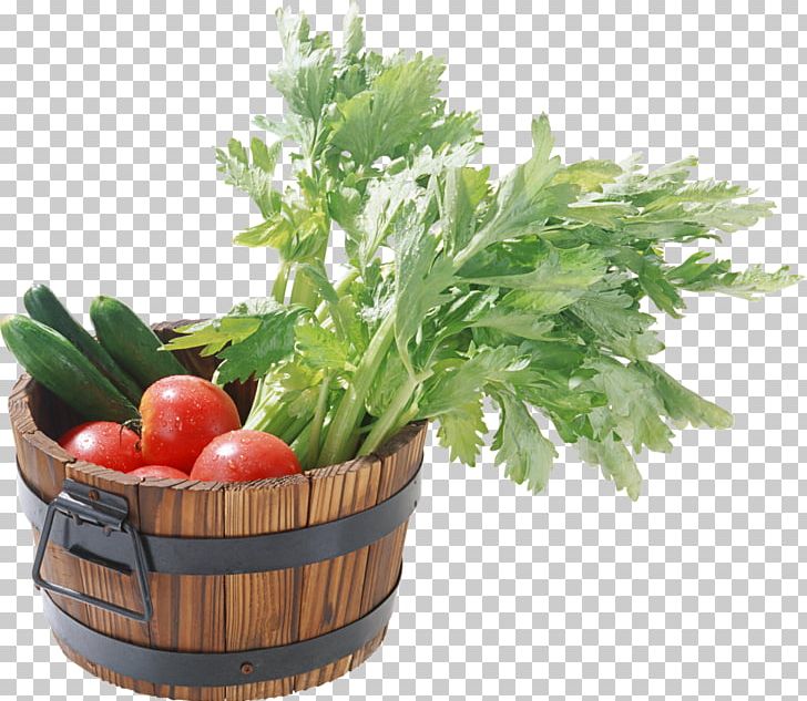 Vegetable Food Wild Celery Starch Fruit PNG, Clipart, Capsicum, Capsicum Annuum, Carrot, Condiment, Diet Food Free PNG Download