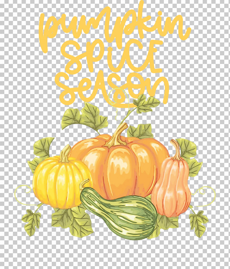 Pumpkin PNG, Clipart, Autumn, Flower, Paint, Pumpkin, Thanksgiving Free PNG Download