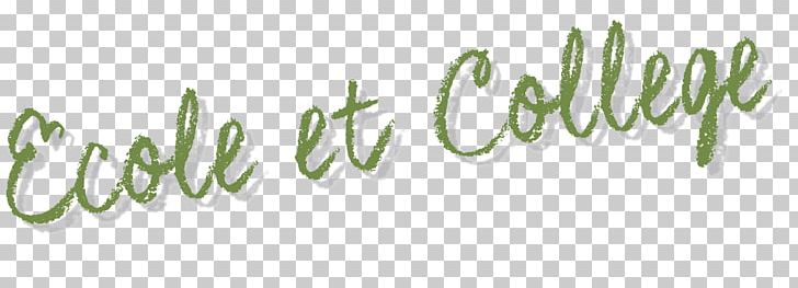Logo Brand Leaf Grasses Font PNG, Clipart, Brand, Calligraphy, Calumet College Of St Joseph, Flower, Grass Free PNG Download