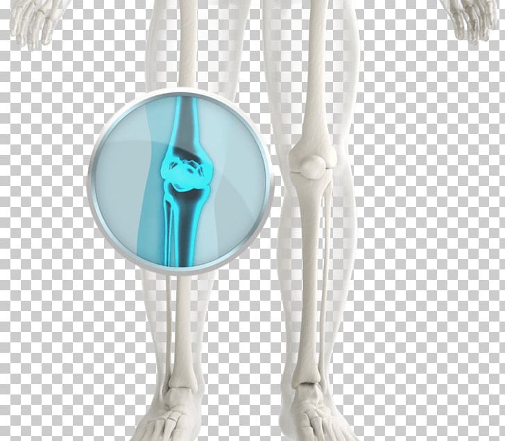 Shoulder Knee PNG, Clipart, Art, Human Leg, Joint, Knee, Neck Free PNG Download