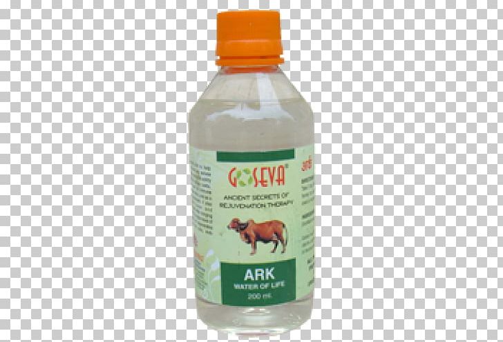 Cattle Gomutra Medicine Ayurveda Panchagavya PNG, Clipart, Ayurveda, Cattle, Cow Dung, Diabetes Mellitus, Distillation Free PNG Download