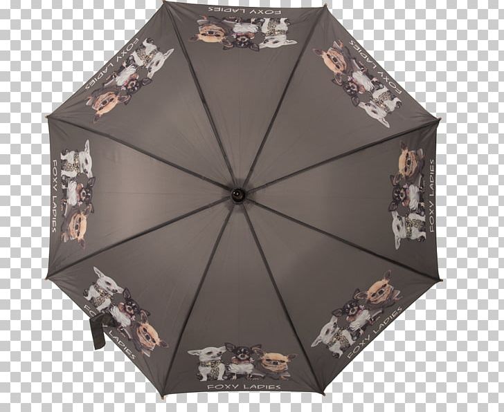 Chihuahua Umbrella Dog Breed Rain Nooit Meer Alleen PNG, Clipart, Amyotrophic Lateral Sclerosis, Chihuahua, Dog Breed, Familie, Nooit Meer Alleen Free PNG Download