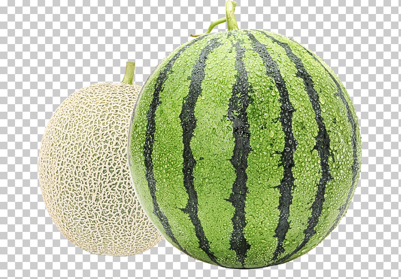 Watermelon PNG, Clipart, Cantaloupe, Citrullus, Cucumber Gourd And Melon Family, Cucumis, Fruit Free PNG Download