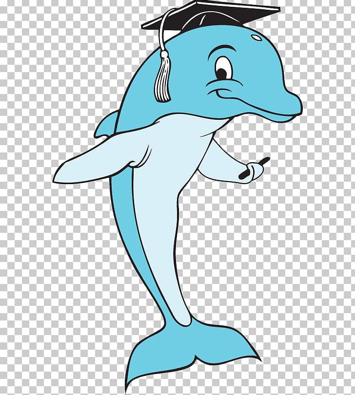 Dolphin School Graduation Ceremony Flipped Classroom PNG, Clipart, Animal Figure, Animals, Artwork, Bottlenose Dolphin, Common Bottlenose Dolphin Free PNG Download