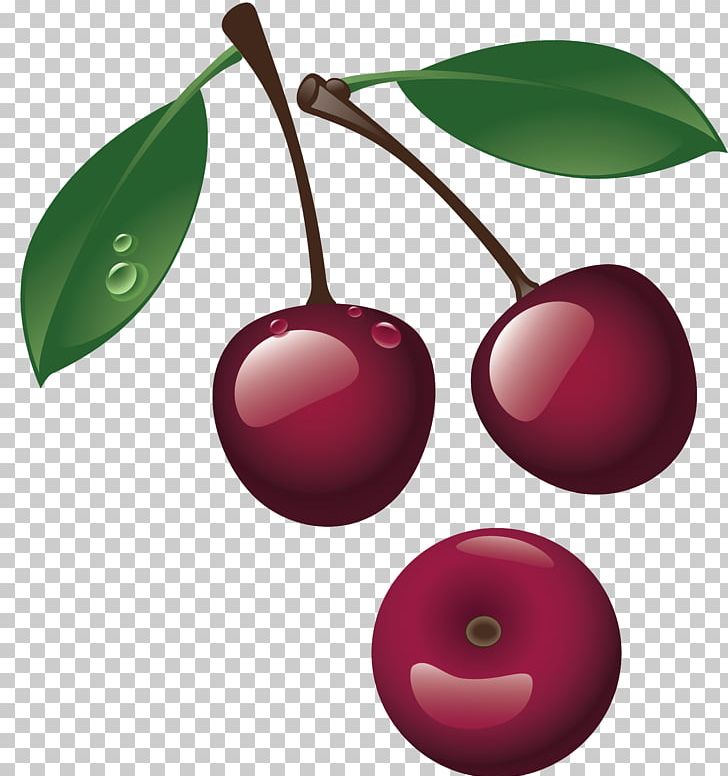 Cherry Food Fruit Berry Encapsulated PostScript PNG, Clipart, Berry, Cherry, Encapsulated Postscript, Food, Fruit Free PNG Download