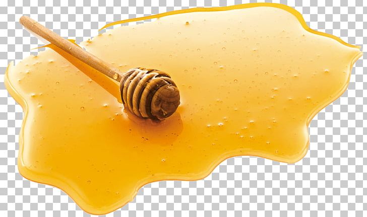 Honey Bee PNG, Clipart, Bee, Chunk, Computer Icons, Download, Food Drinks Free PNG Download