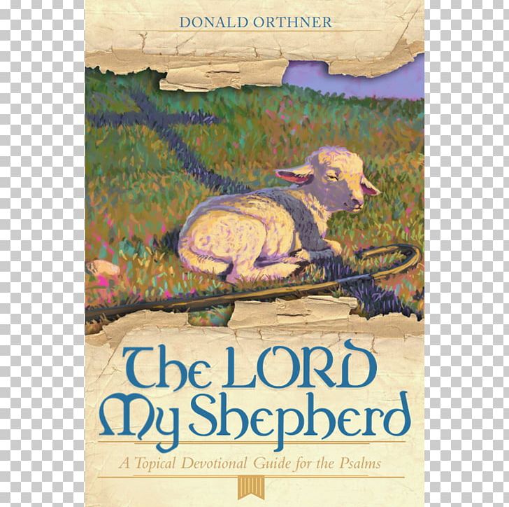 Psalms Psalm 23 Shepherd The Wilds PNG, Clipart, Advertising, Certificate Of Deposit, Compact Disc, Duet, Online Shopping Free PNG Download