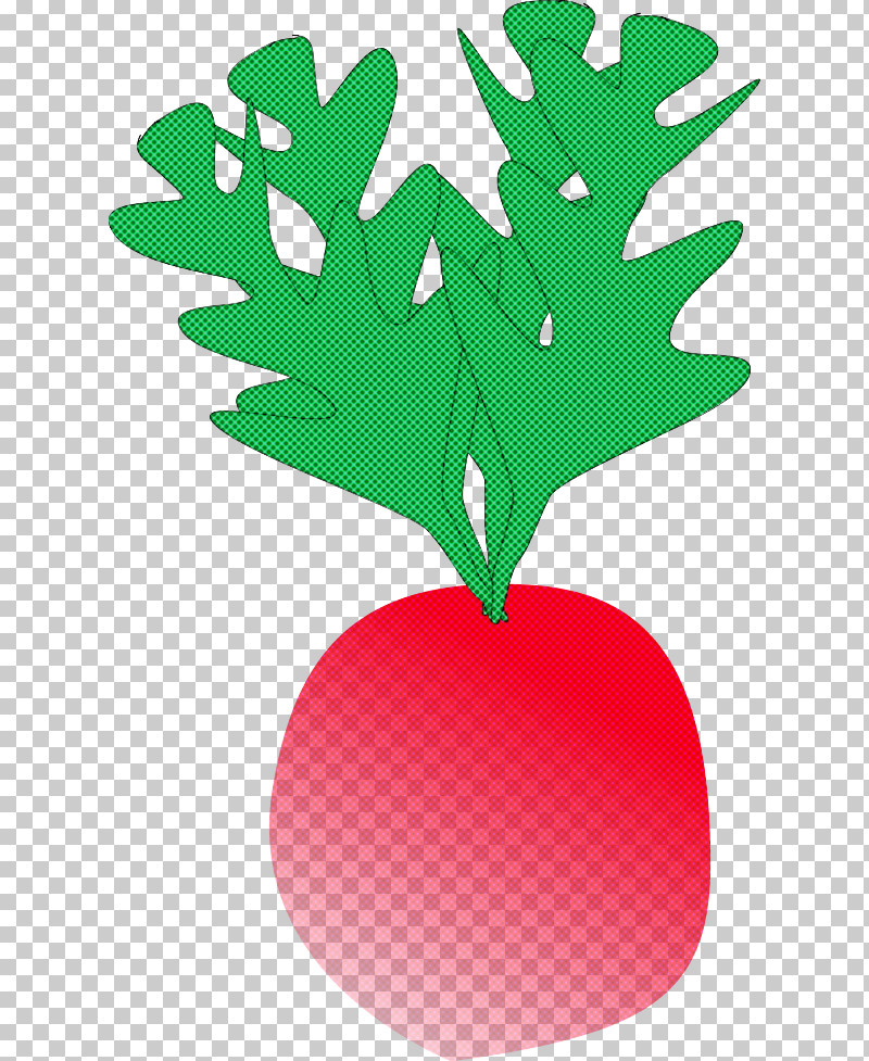 Leaf Green Tree Fruit Branching PNG, Clipart, Biology, Branching, Fruit, Green, Leaf Free PNG Download