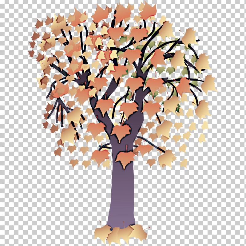 Tree Leaf Woody Plant Plant Branch PNG, Clipart, Autumn, Branch, Cut Flowers, Leaf, Plant Free PNG Download