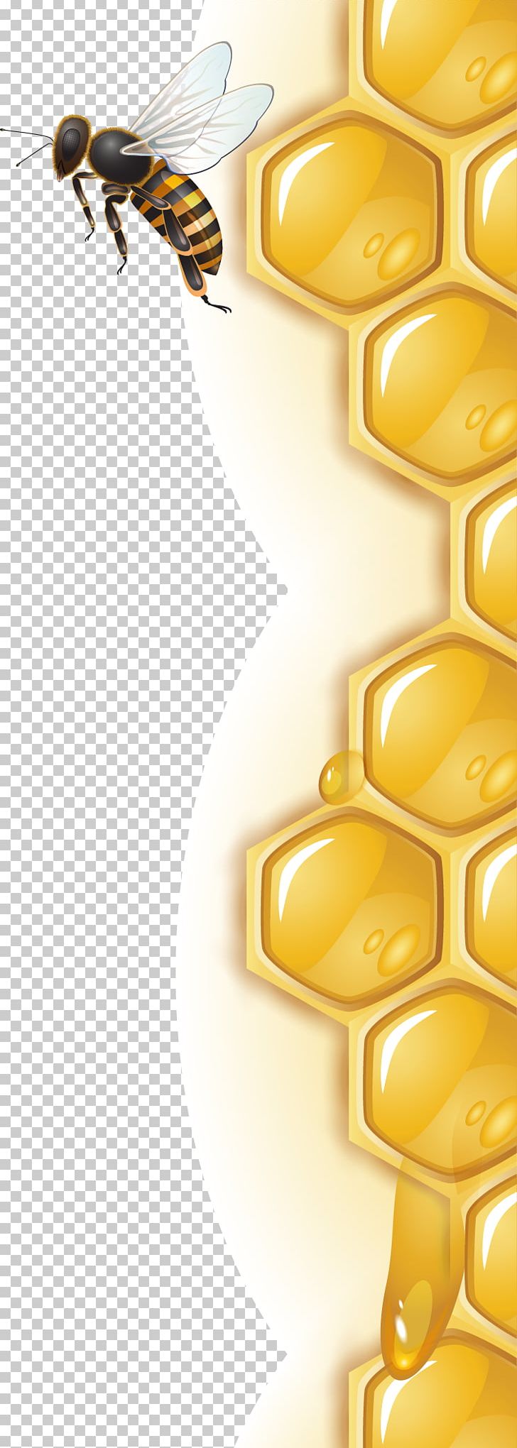 Honey Bee Honeycomb PNG, Clipart, Bee, Beehive, Cdr, Cellular, Computer Wallpaper Free PNG Download