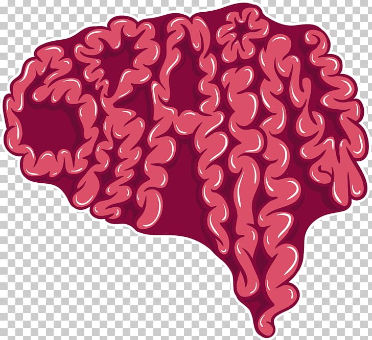 Human Brain Cerebrum PNG, Clipart, Agy, Brain, Brains, Brain Thinking, Brain Vector Free PNG Download