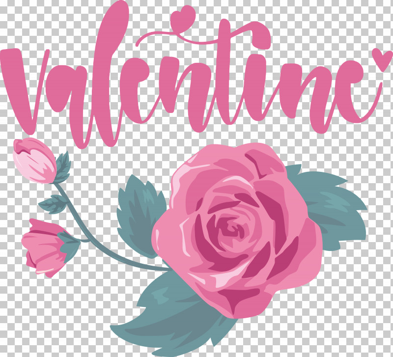 Valentines Day Valentine Love PNG, Clipart, Drawing, Floral Design, Garden Roses, Love, Pink Free PNG Download