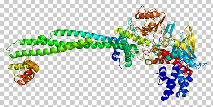 AP-1 Transcription Factor Organism PNG, Clipart, Ap1 Transcription Factor, Art, Gene, Graphic Design, Line Free PNG Download