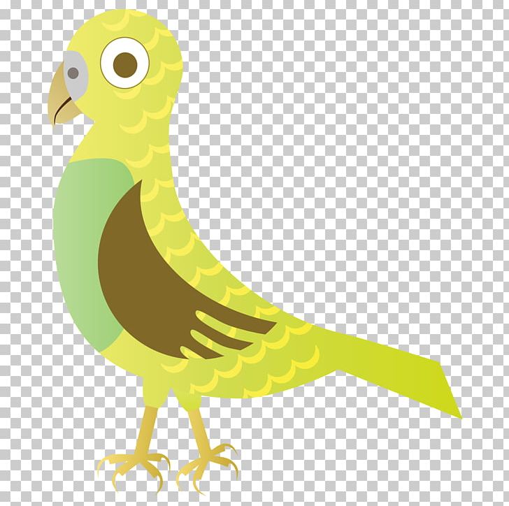 Bird Red PNG, Clipart, Animal, Animals, Beak, Bird, Cartoon Free PNG Download