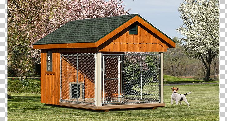 Dog Houses Kennel Cat PNG, Clipart, Animals, Backyard, Building, Cat, Chicken Coop Free PNG Download