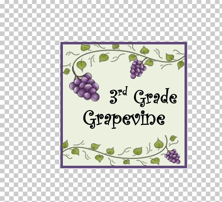 The Writing Workshop Grape School Student PNG, Clipart, Classroom, Flower, Fruit, Grape, Grapevine Family Free PNG Download