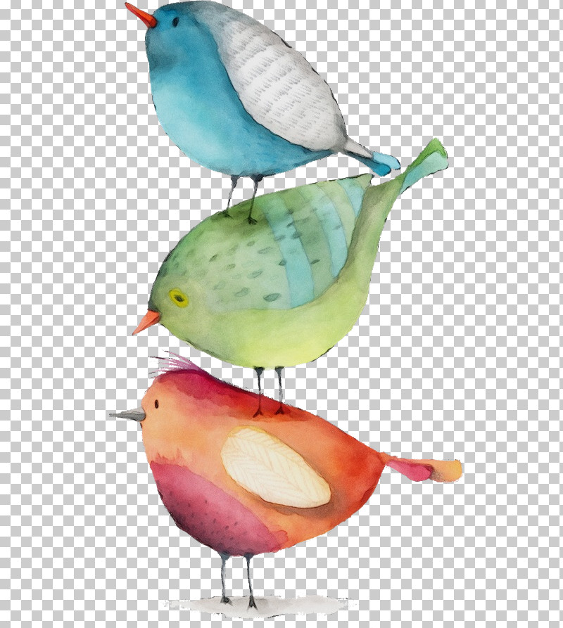 Bird Beak Perching Bird Songbird PNG, Clipart, Beak, Bird, Paint, Perching Bird, Songbird Free PNG Download