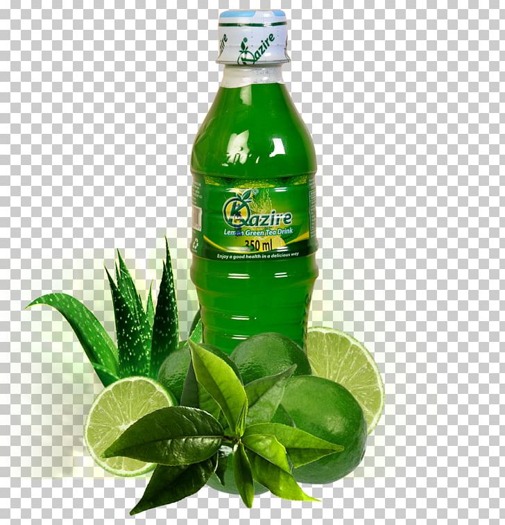 Liqueur Juice Health Drink Green Tea PNG
