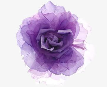 Purple Flowers PNG, Clipart, Decorative, Decorative Pattern, Flowers, Flowers Clipart, Fuzzy Free PNG Download