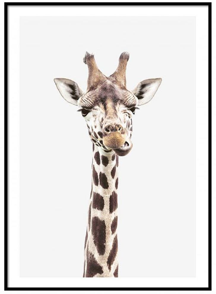 Reticulated Giraffe Okapi Poster Printmaking PNG, Clipart, Animals, Art, Canvas Print, Cuteness, Fauna Free PNG Download