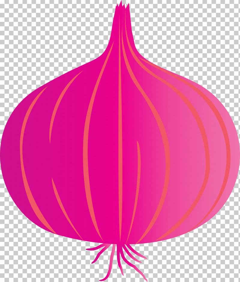 Onion PNG, Clipart, Biology, Flower, Geometry, Leaf, Line Free PNG Download