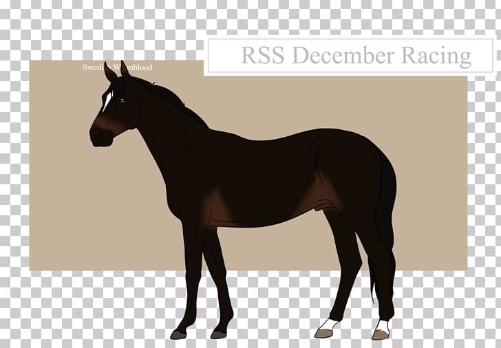 Mule Mustang Stallion Mare Halter PNG, Clipart,  Free PNG Download