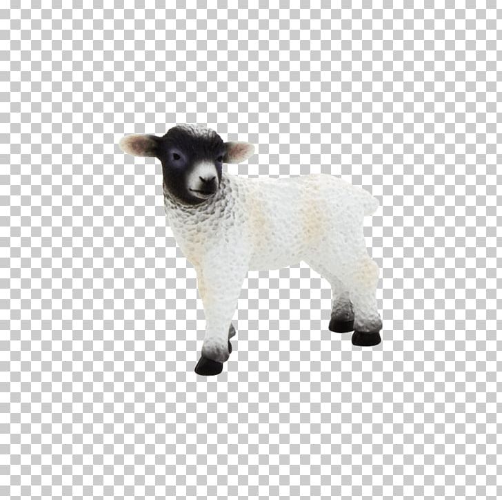 Scottish Blackface Cattle Black Sheep Goat PNG, Clipart, Action Toy Figures, Animal, Animal Figure, Animals, Black Sheep Free PNG Download