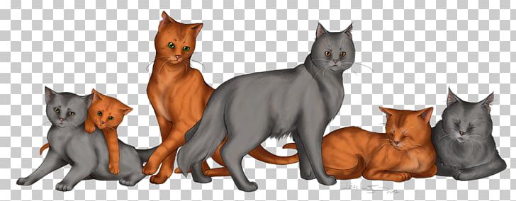 Cat Firestar Graystripe Warriors Silverstream PNG, Clipart, Animals, Carnivoran, Cat, Cat Like Mammal, Character Free PNG Download
