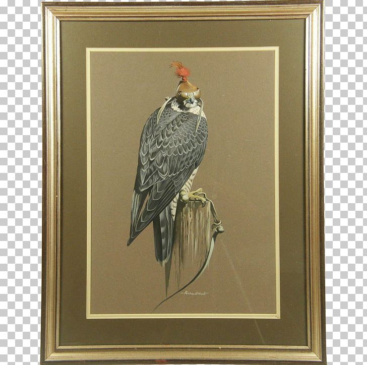 The Birds Of America Painting Art Printmaking PNG, Clipart, Animals, Art, Beak, Bird, Bird Of Prey Free PNG Download