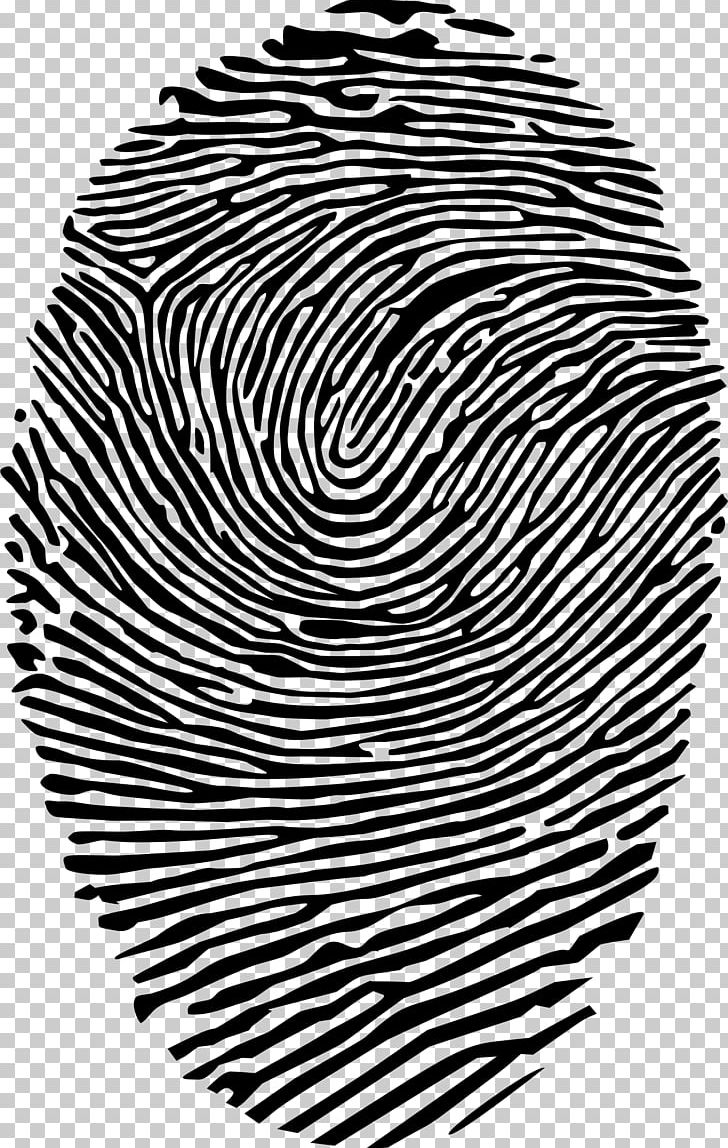 Fingerprint Spiral PNG, Clipart, Black, Black And White, Circle, Clip Art, Cmyk Color Model Free PNG Download
