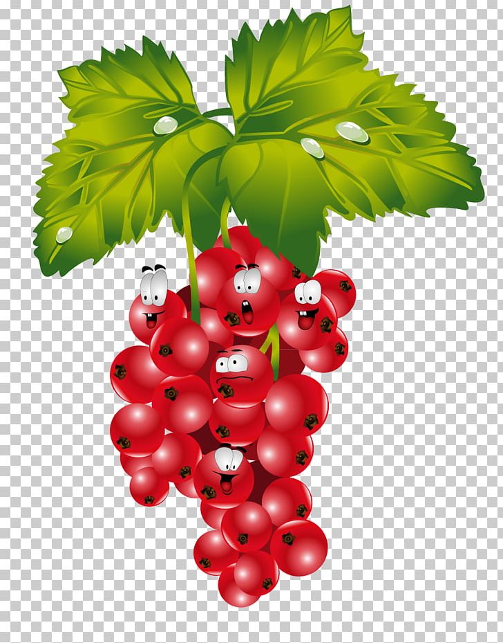 Redcurrant Blackcurrant Frutti Di Bosco Raspberry PNG, Clipart, 3d Villain, 3d Villain Photos, Auglis, Blueberry, Cartoon Free PNG Download